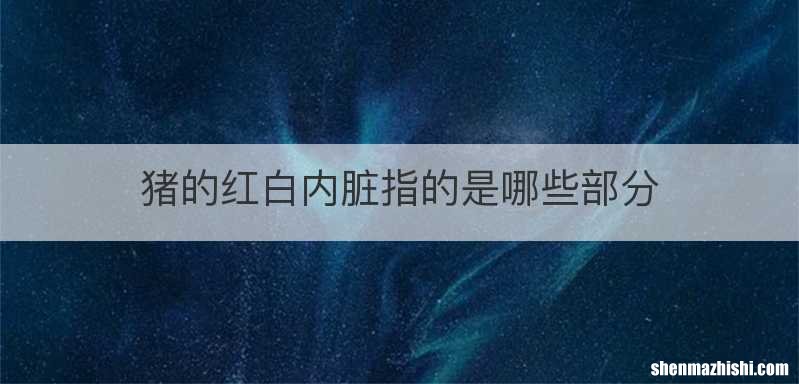 猪的红白内脏指的是哪些部分