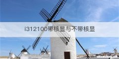 i312100带核显与不带核显