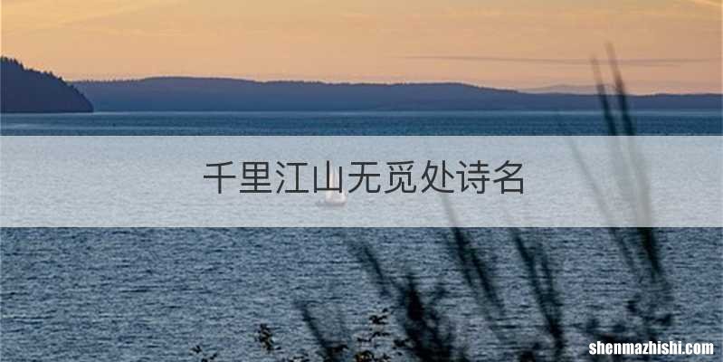 千里江山无觅处诗名