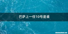 巴萨上一任10号是谁