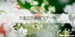 万里云空鹤自飞下一句