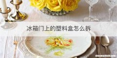 冰箱门上的塑料盒怎么拆