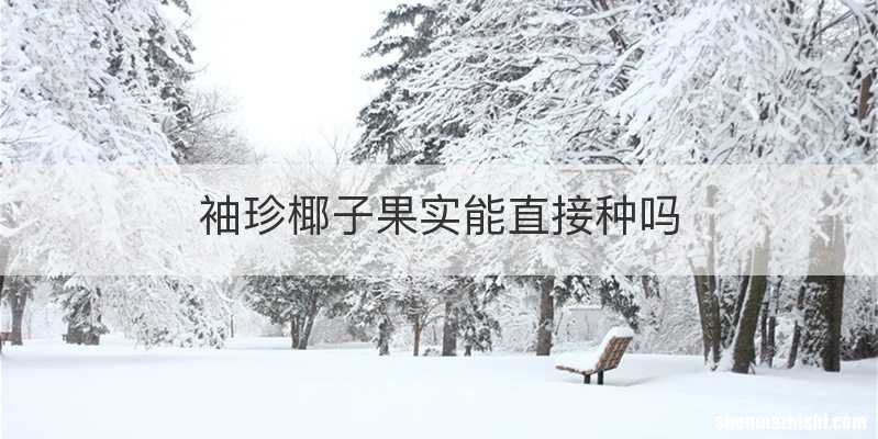 袖珍椰子果实能直接种吗