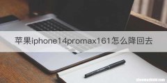 苹果iphone14promax161怎么降回去