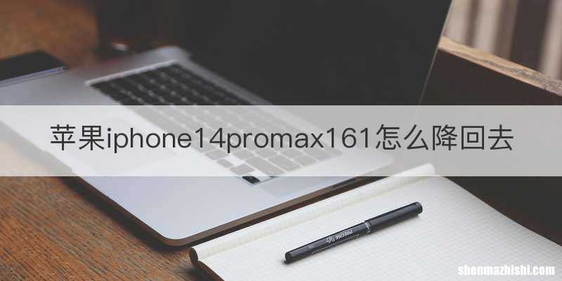苹果iphone14promax161怎么降回去