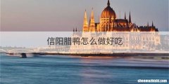 信阳腊鸭怎么做好吃