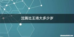 沈腾比王琦大多少岁