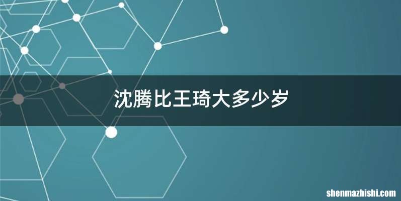 沈腾比王琦大多少岁