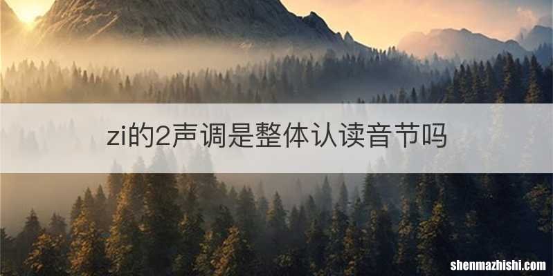 zi的2声调是整体认读音节吗