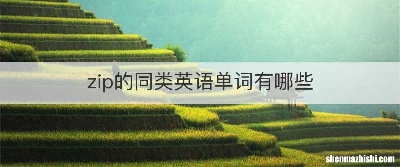 zip的同类英语单词有哪些