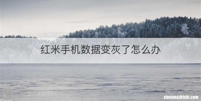 红米手机数据变灰了怎么办