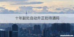 十年副处自动升正处待遇吗