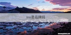 ins是品牌吗
