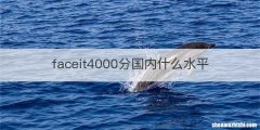 faceit4000分国内什么水平