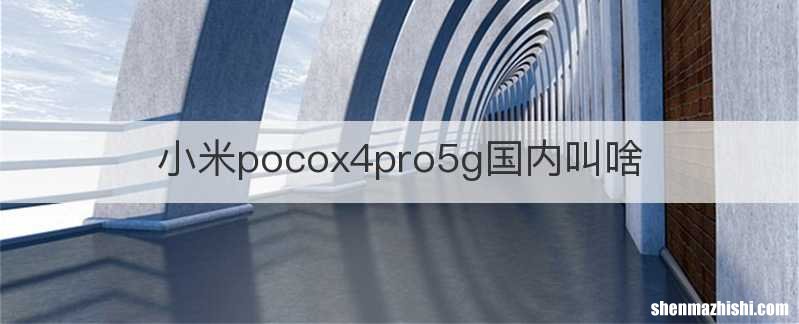 小米pocox4pro5g国内叫啥