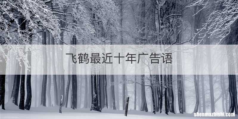 飞鹤最近十年广告语