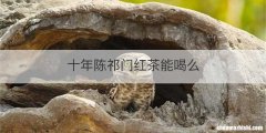 十年陈祁门红茶能喝么