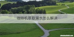 咖啡机萃取漏水怎么解决