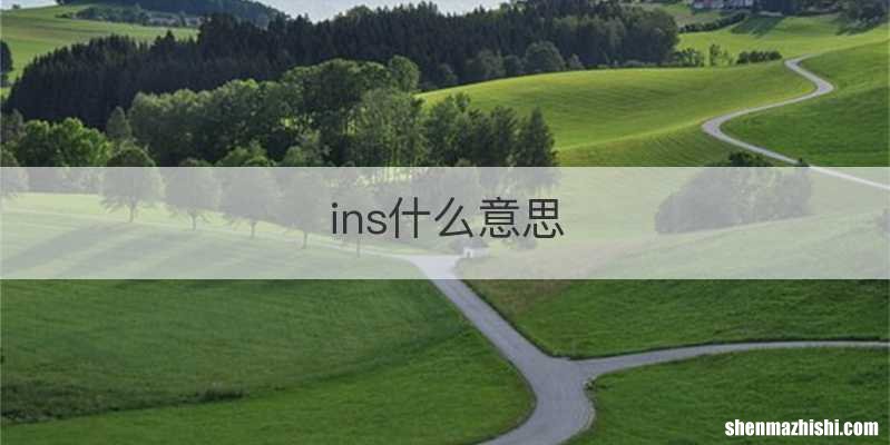 ins什么意思