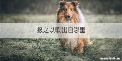 报之以歌出自哪里