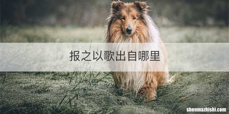 报之以歌出自哪里