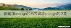 副词加enough和形容词加enough的区别