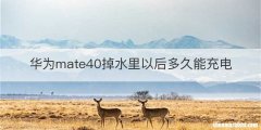 华为mate40掉水里以后多久能充电