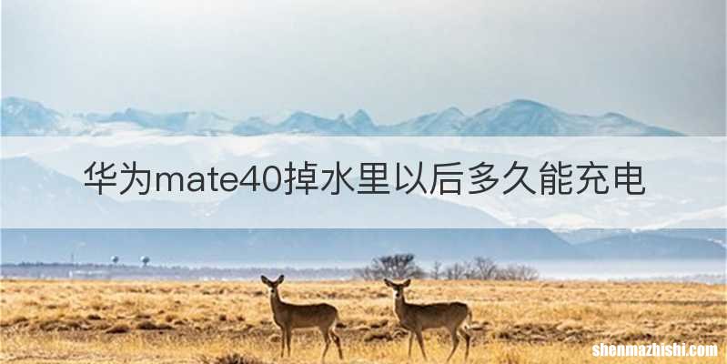 华为mate40掉水里以后多久能充电