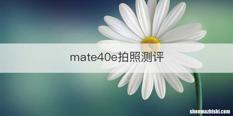 mate40e拍照测评