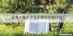 成考大专论文三千字左右能行吗