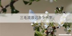 三毛流浪记多少千字