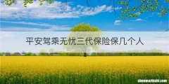 平安驾乘无忧三代保险保几个人