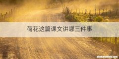 荷花这篇课文讲哪三件事