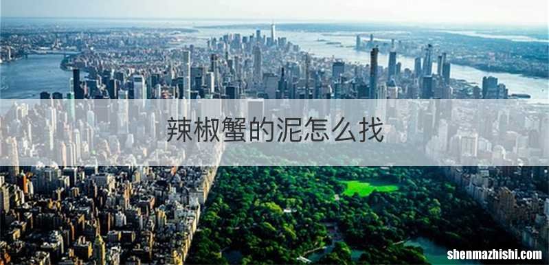辣椒蟹的泥怎么找