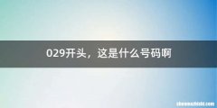 029开头，这是什么号码啊