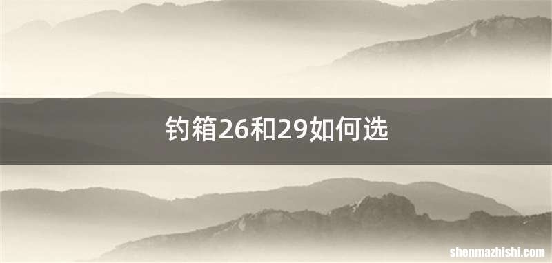 钓箱26和29如何选