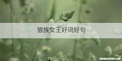 狼族女王好词好句