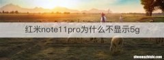 红米note11pro为什么不显示5g