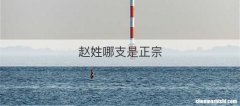赵姓哪支是正宗