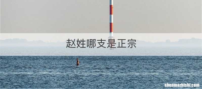 赵姓哪支是正宗