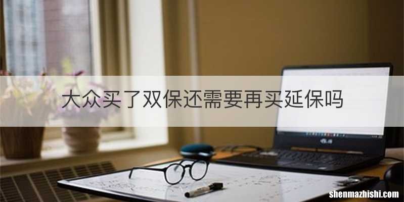 大众买了双保还需要再买延保吗