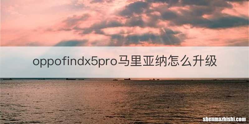 oppofindx5pro马里亚纳怎么升级