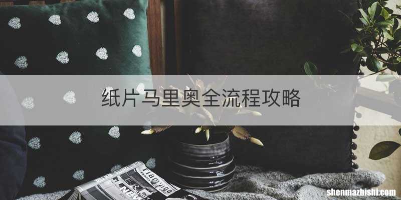 纸片马里奥全流程攻略