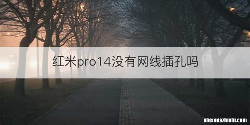 红米pro14没有网线插孔吗