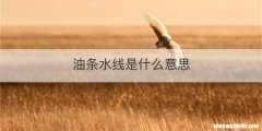 油条水线是什么意思