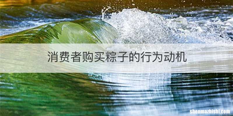 消费者购买粽子的行为动机