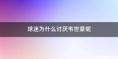 球迷为什么讨厌韦世豪呢