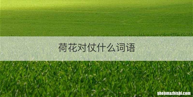 荷花对仗什么词语
