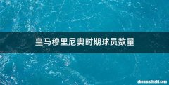 皇马穆里尼奥时期球员数量