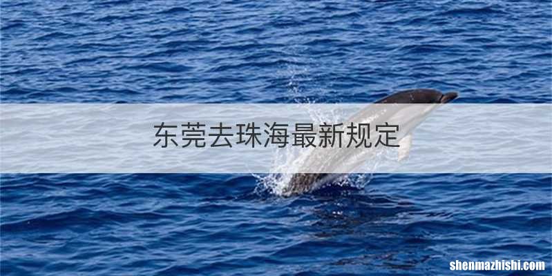 东莞去珠海最新规定